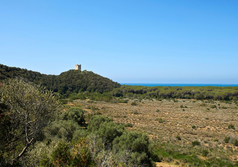 Parco della Maremma Agriturismo Alberese La Stella della Terra