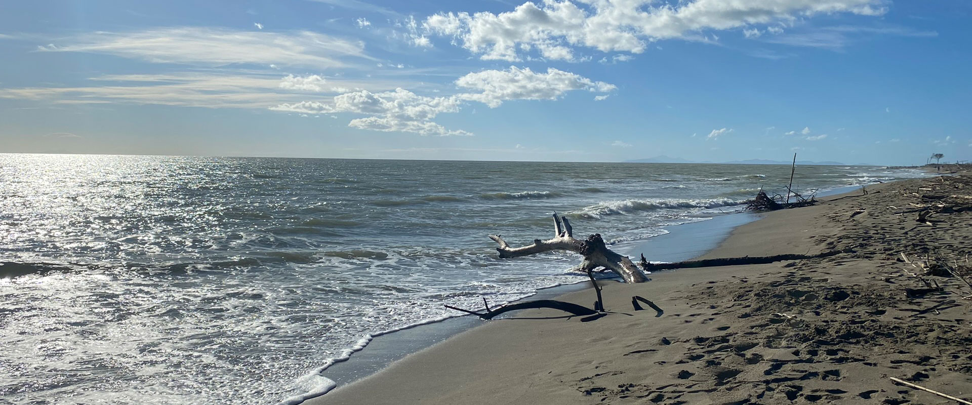 AGRITURISMO OLISTICO LA STELLA DELLA TERRA - VIICNO AL MARE DI ALBERESE MAREMMA TOSCANA