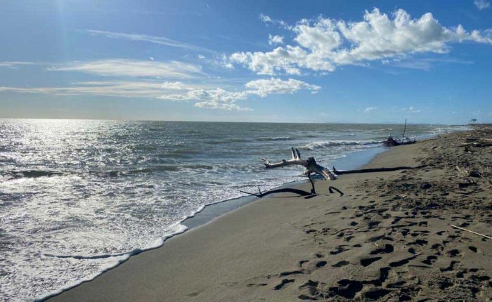 Marina-di-Alberese,-Agriturismo-Olistico-La-Stella-della-Terra