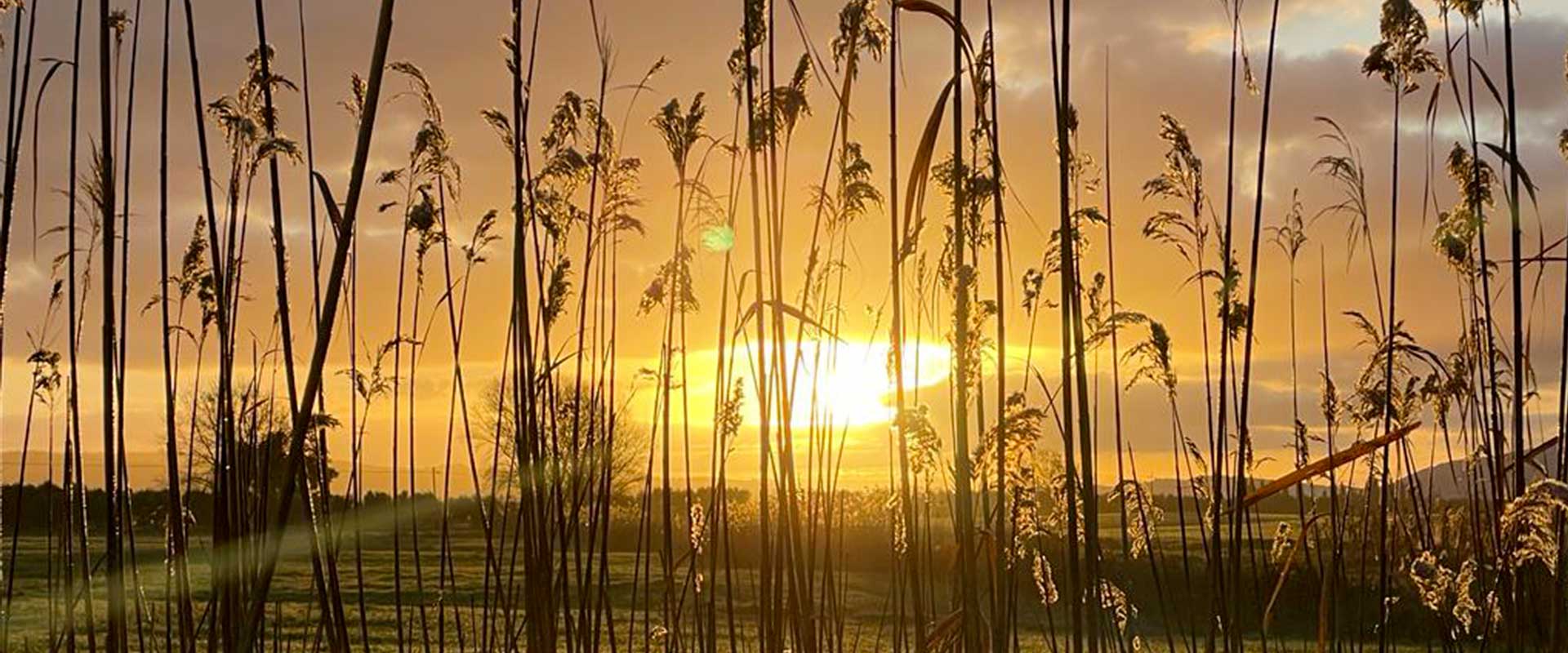 La Stella della Terra Agriturismo Olistico Alberese - Maremma Toscana